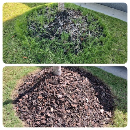 wake forest mulch bed wake forest mulch bed