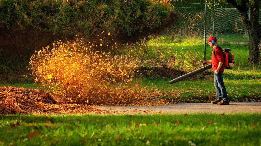 Fall+Cleanup+blower+leaves+lawn
