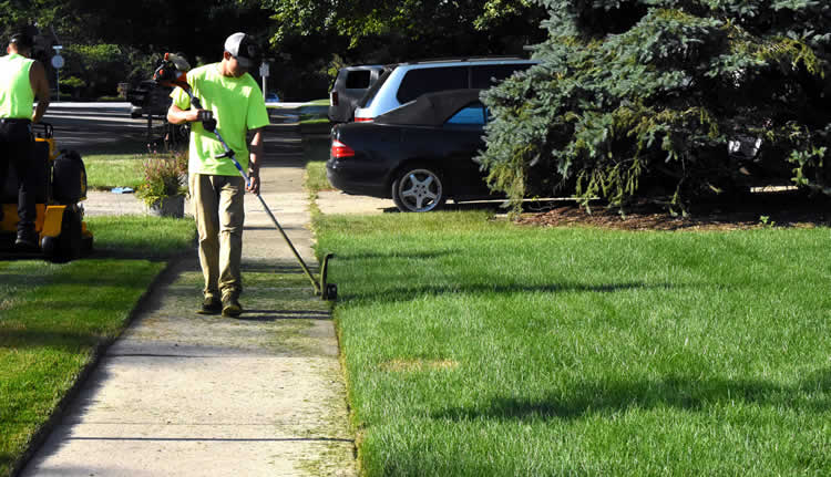 lawn-trimming-edging-services-near-me