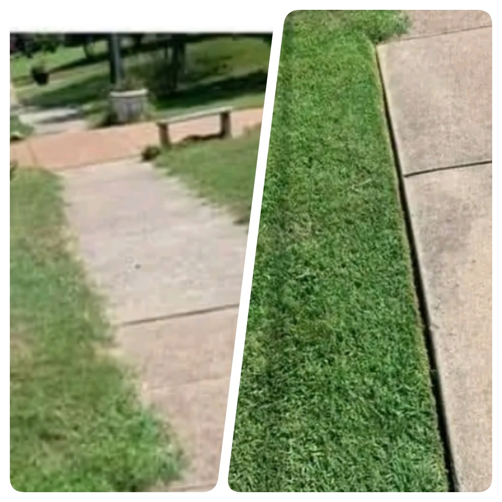 Overgrown Sidewalk Grass Clean Edge